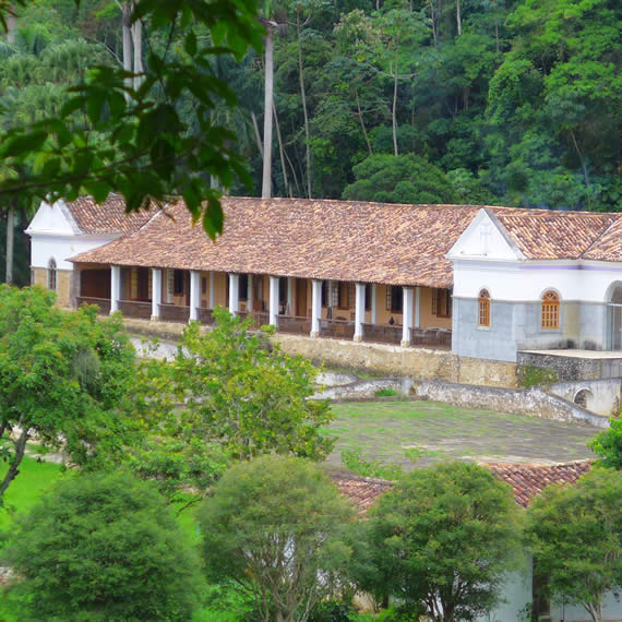 Suíte