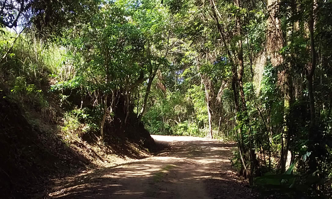 Trekking